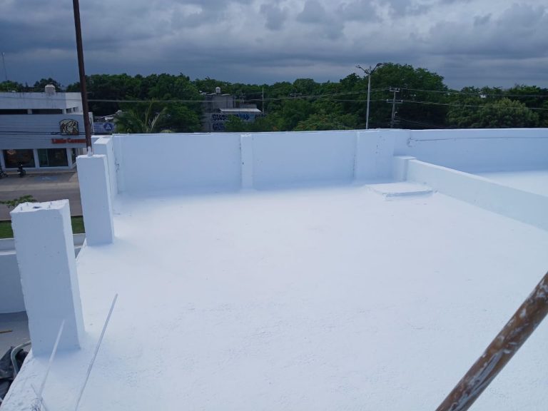 Proyecto AEPSA de impermeabilización con poliuretano acrílico (obra 225)